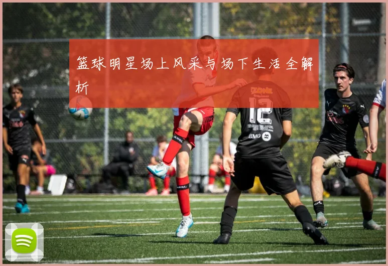 篮球明星场上风采与场下生活全解析